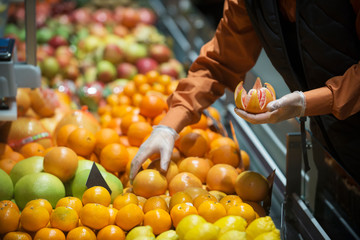 sale of grapefruit in the store