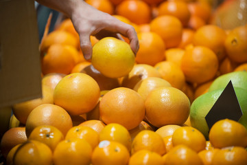 sale of grapefruit in the store