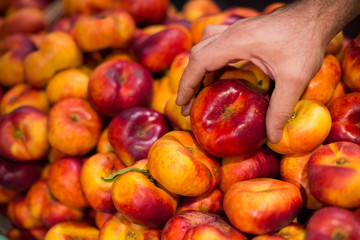 fresh ripe nectarine, the best choice