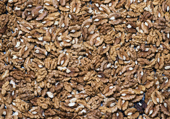 walnut large, background