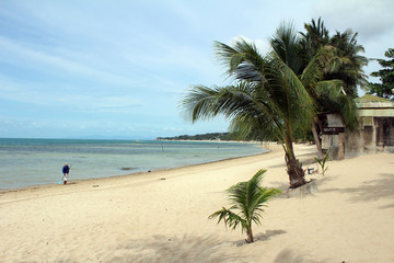 Obraz premium Ko Ha Island Phang Nga National Park Thailand
