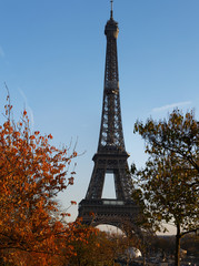 Fototapeta na wymiar Beautiful view of autumn trees with the Eiffel tower in the foreground in Paris.