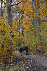 Obraz premium herbst im schlosspark worms-herrnsheim