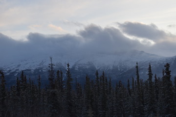 mountains between fog