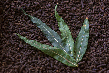 made in Ukraine, dry granules of the plant Ivan-tea