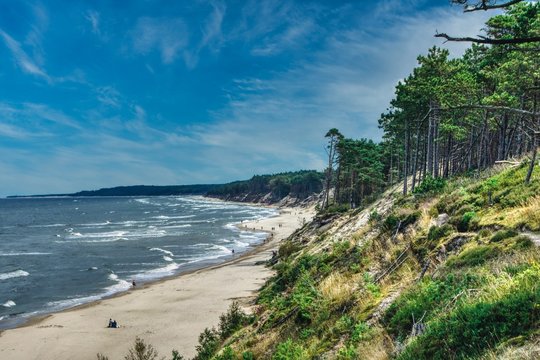 wysoki klifowy brzeg nad Bałtykiem, okolice Kołobrzegu,, słoneczna pogoda nad morzem, piaszczysta plaża, sosnowy las porastający klif