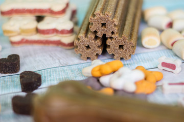 Pet food, snacks for dogs. Dog tasty colored biscuits on wooden background