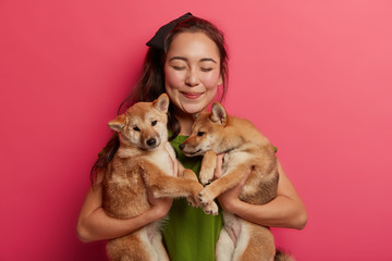 Lucky eastern woman found two pedigree puppies on street, finds host for shiba inu dogs, being pet lover, stands glad with animals against pink background. Petting and care concept. Studio shot