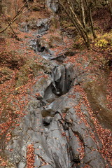 It is getting so autumn here.