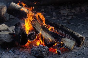 Bonfire burning trees at night. Large orange flame isolated on a black background. Fire on black. Brightly, heat, light, camping, big bonfire