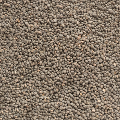 Babchi (Psoralea Corylifolia) organic dry seeds texture. Background template. Bakuchiol - retinol alternative concept.