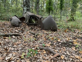 car destroy in the park 