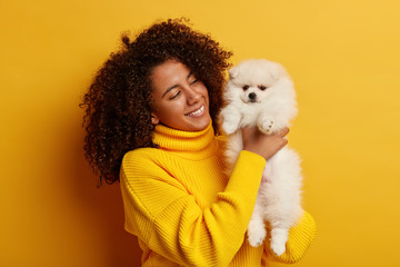 Adorable white spitz in womans hands. Beautiful curly Afro American lady in yellow oversized...