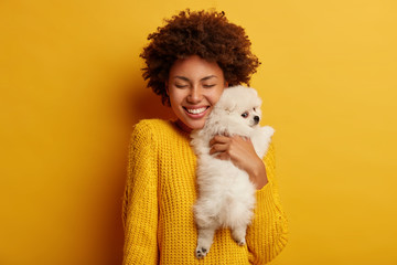 Sweet shot of cheerful Afro woman embraces with big love her flully white spitz dog, visit professional veterinarian, pose togeher in studio against yellow wall. Love to animals. Pet after grooming