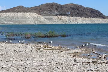 Lake in a rocky region
