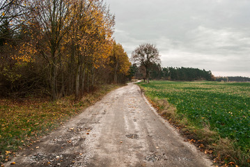 Fototapeta na wymiar Turze, Pomerania, Poland
