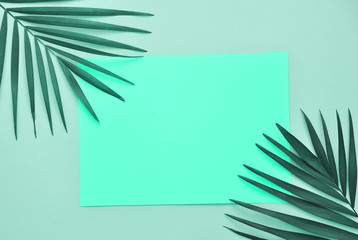 Palm tree leaves on mint color background with copy space.