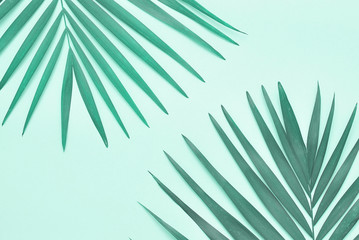 Palm tree leaves on mint color background with copy space.