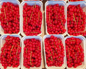 Red currants in paper box. Harvest berries on display