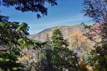 Views towards Tooele from the Oquirrh Mountains of fall leaves along the Wasatch Front Rocky Mountains, by Kennecott Rio Tinto Copper mine, by the Great Salt Lake. Utah, America.