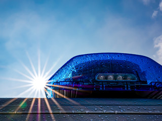 BlaulichtImGegenlicht