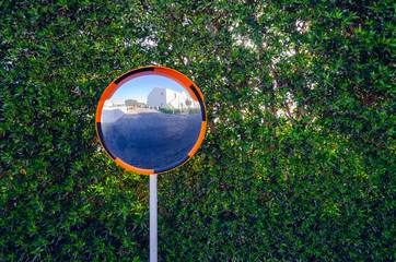 Curved road mirror for traffic safety on a background of a wall of green leaves