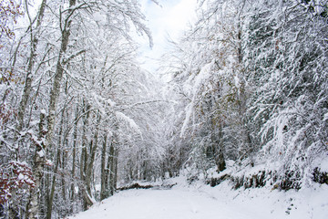Mountain road covered by the snow