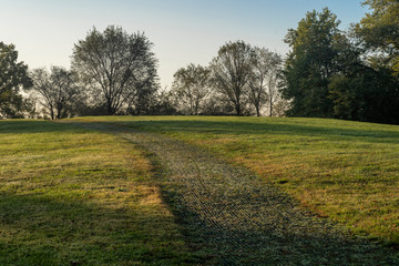 Parco Nord of Milan in a October morning