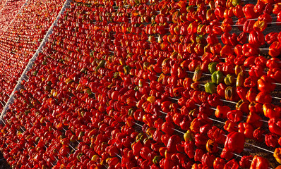 red pepper background