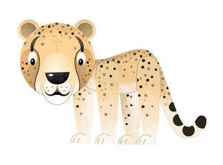 cartoon scene with cheetah on white background - illustration for children