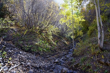 Hiking path views in Oquirrh Mountains with fall leaves along the Wasatch Front Rocky Mountains, by Kennecott Rio Tinto Copper mine, Tooele and the Great Salt Lake Valley, Utah, United States.