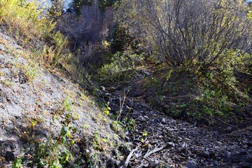 Hiking path views in Oquirrh Mountains with fall leaves along the Wasatch Front Rocky Mountains, by Kennecott Rio Tinto Copper mine, Tooele and the Great Salt Lake Valley, Utah, United States.