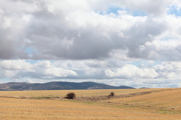 Fototapeta na wymiar Landscape in Segovi, Castilla, Spain