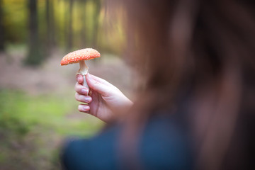 Female holding Amanita Muscaria mushroom, commonly known as the fly agaric or fly amanita, is a basidiomycete of the genus Amanita.