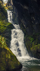 Obraz premium close-up of a mountain waterfall in rocks overgrown with green moss, vertical frame high mountain waterfall