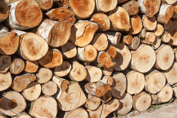 Pile of wooden logs