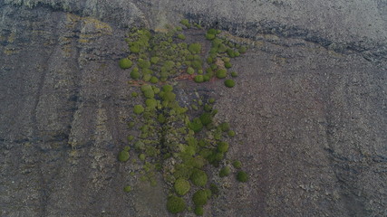 Rainy foggy and cold day