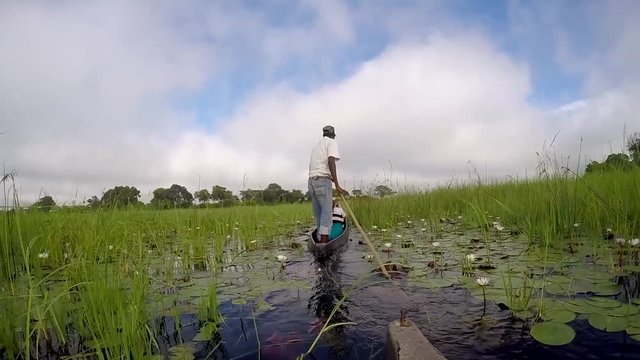 Mokoro canoe on the Okavango delta, Botswana