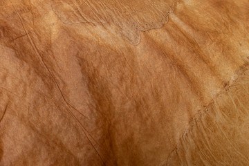 Antique yellowish parchment paper grungy background texture