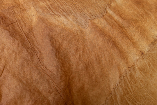 Antique yellowish parchment paper grungy background texture