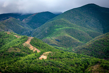 Cortafuegos en una montaña de Sierra Lujar,con los picos de las montañas tapados por las nubes...