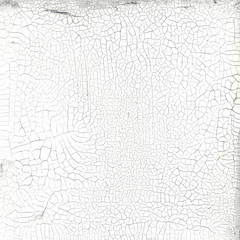 Cracked Texture white background. 