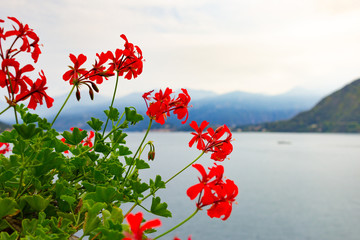 Como Lake