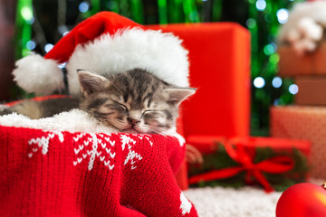 Sleeping Christmas Cat. Beautiful little tabby sleeping kitten, kitty, cat in red Santa Claus hat near Christmas gift boxes and chrismas tree. Happy New Year animal, pet.