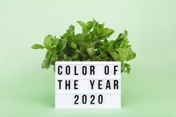 Bunch of mint on the minty green background with Color of the Year wording on the lightbox....