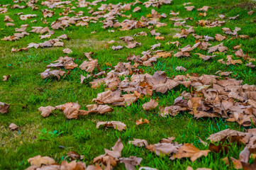 Autumn and winter landscape in Midlands meander South Africa