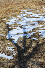 Naklejka premium field covered with little snow