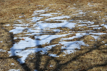 field covered with little snow