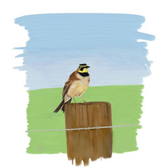Horned lark sitting on post painting