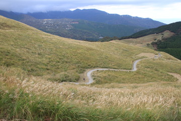 細間高原のすすき野原